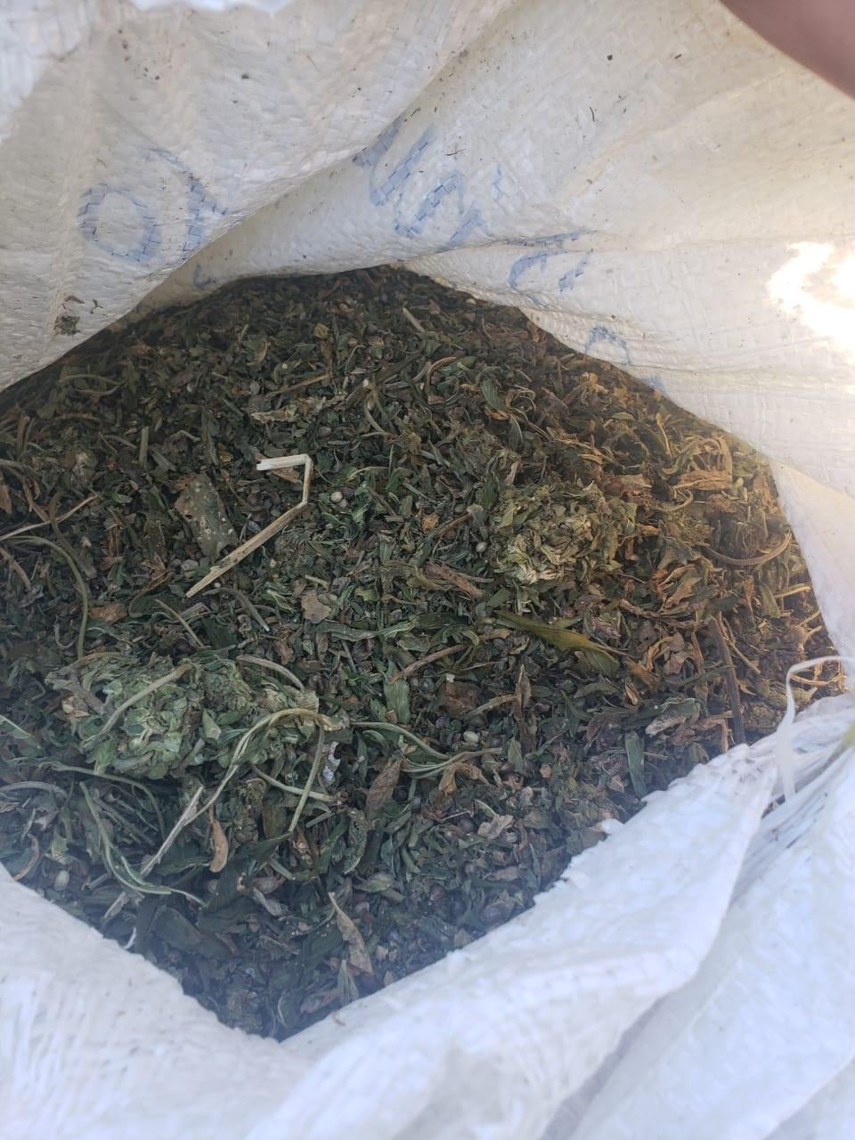 30y31Sucesos (4) Asegura Fiscalía General de la República 106 kilos de marihuana