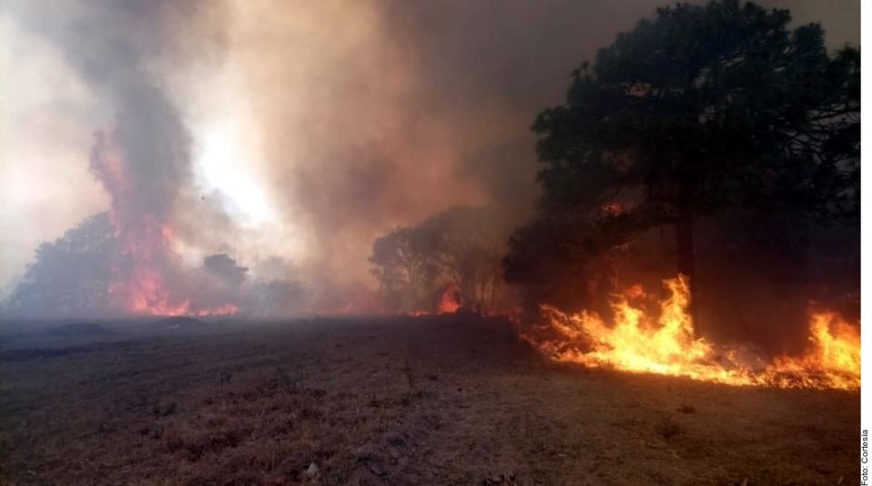 10y11Bahía (1) BOSQUE LA PRIMAVERA…Controlan incendio en La Venta del Astillero