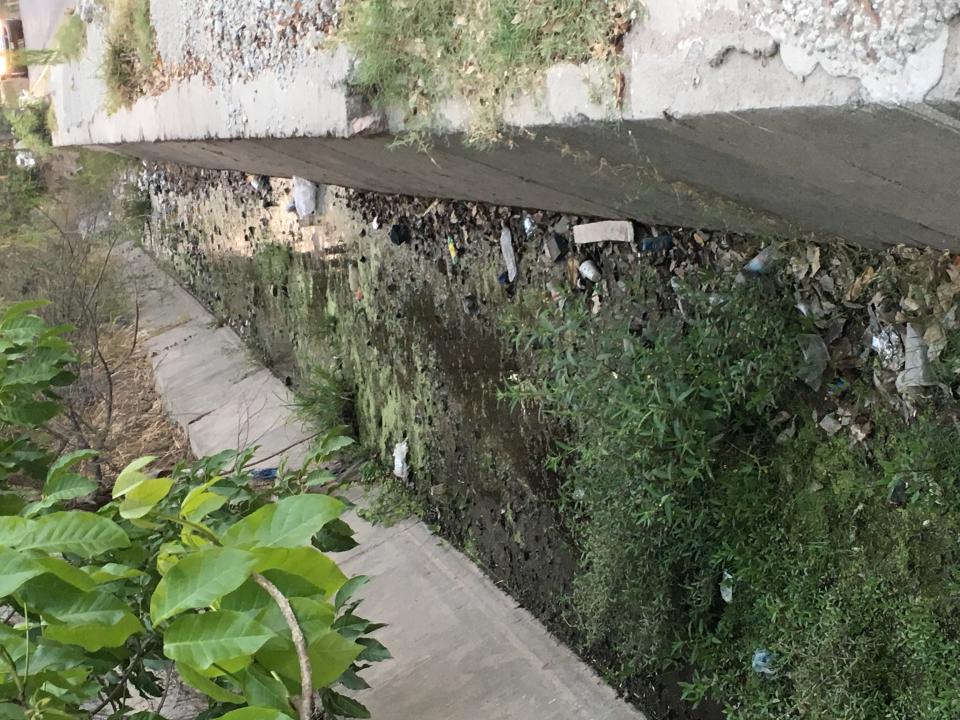 10y11Bahía (6) Abandonada por completo la 16 de Septiembre en la Floresta