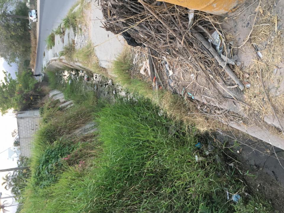 10y11Bahía (8) Entregan formalmente terreno al Tecnológico La Huerta en Tomatlán