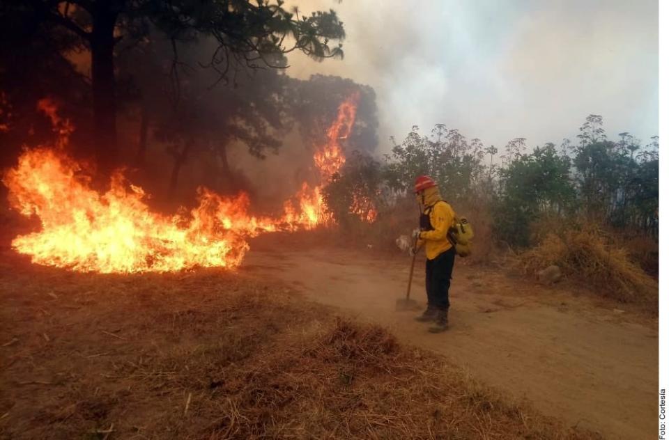 12Bahía (1) Tiene La Primavera nuevo incendio