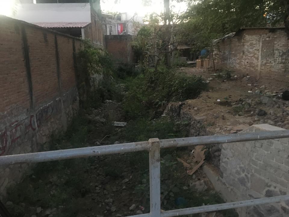 12y13Bahía (1) Urge limpieza del canal de la Virgen