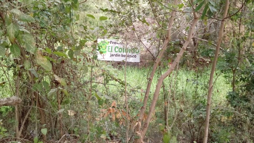 12y13Bahía (2) Se buscará abrir un jardín botánico en la sierra
