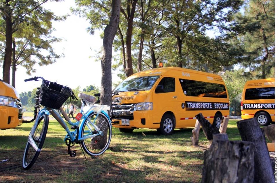 13Bahía (2) Tienen de adorno transporte escolar