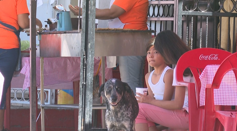 14y15Bahía (1) Actuarán vs comerciantes que hacen mal manejo de residuos