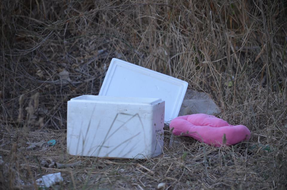 30y31Sucesos (9) Localizan hielera sospechosa