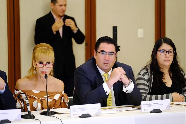 40871523103_28238d8769_o Asume Directora del DIF Jalisco la vicepresidencia del SIPINNA Jalisco
