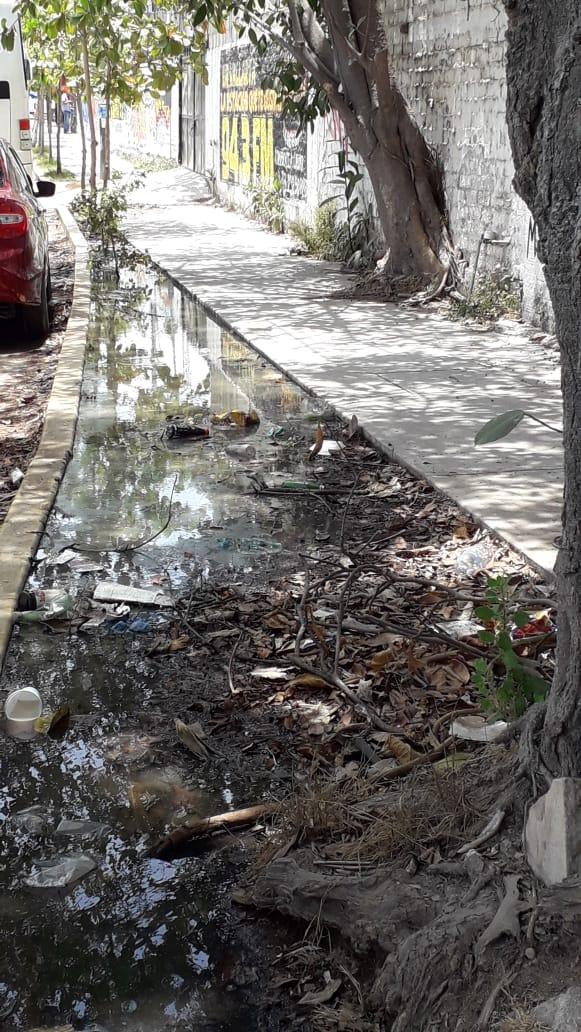 Alberto nota A Aguas Negras en Villa las Flores (1) Aguas Negras en Villa de las Flores