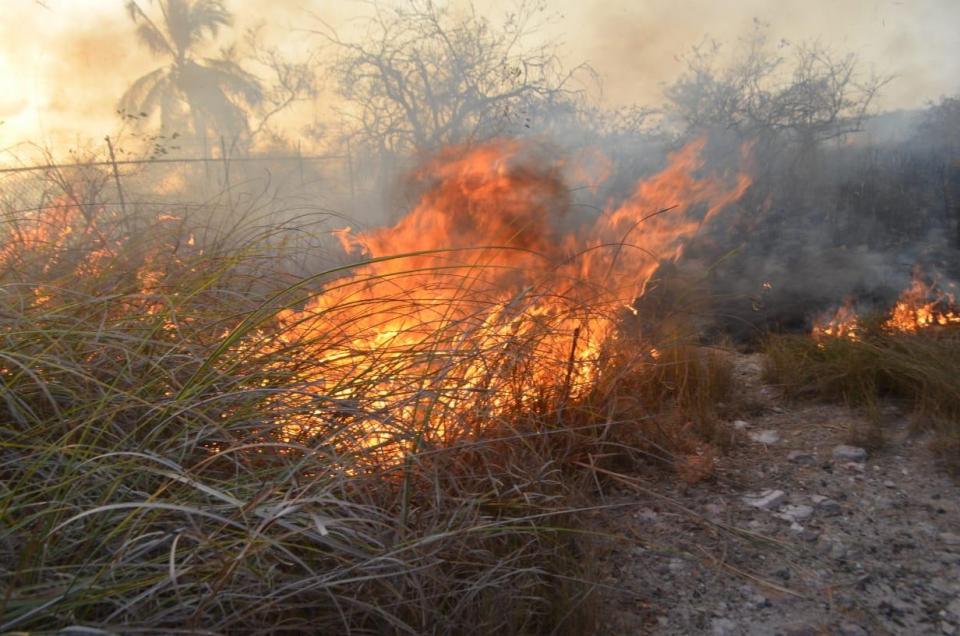 10y11Bahía (4) Incendio en el Estero no causó daños graves