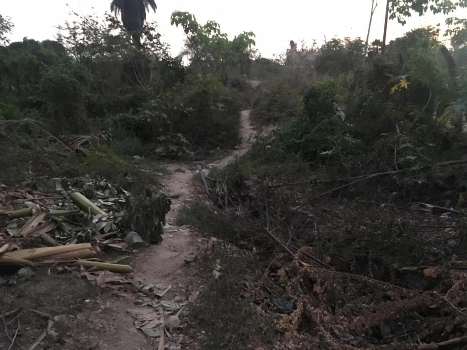 2b6b091d-0365-41d7-9a39-e412dbf0b055 Reportan no cuentan con alumbrado publico en los Volcanes