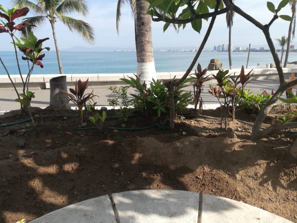 BRENDA 27 NOTA C (1) Cables expuestos en jardineras, pudieran representar un peligro