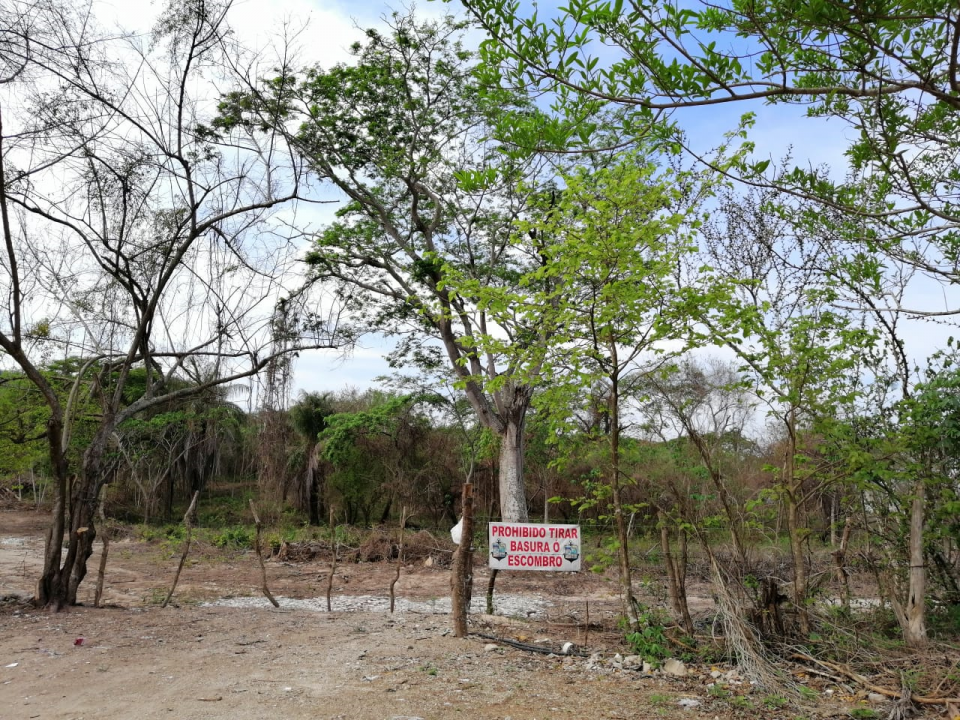 08y09Bahía (1) Tiraderos de basura clandestinos en la periferia de El Pitillal
