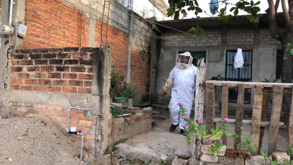 28y29Sucesos (12) Abejas atacan a personas en Volcanes