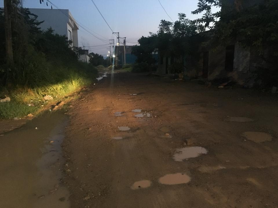 10y11Bahía (8) Temen en Floresta que haya un cocodrilo en la colonia