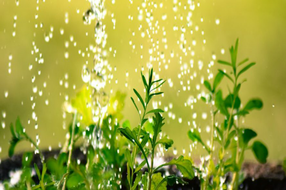 14y15Bahía (3) La Bioeconomía una alternativa hacia una industria agroalimentaria sustentable