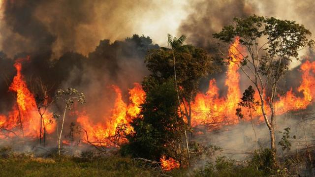 amazonas Brasil bajo presión internacional por los incendios en la AmazoníaRIO BRANCO, BRASIL (AFP)