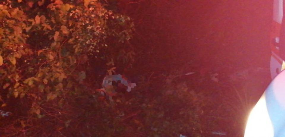 motociclistamuerto (1) Motociclista muere al chocar de frente con una camioneta rumbo a Las Palmas