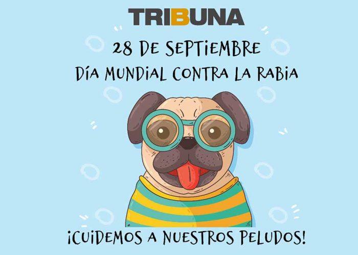 rabia Día Mundial contra la Rabia