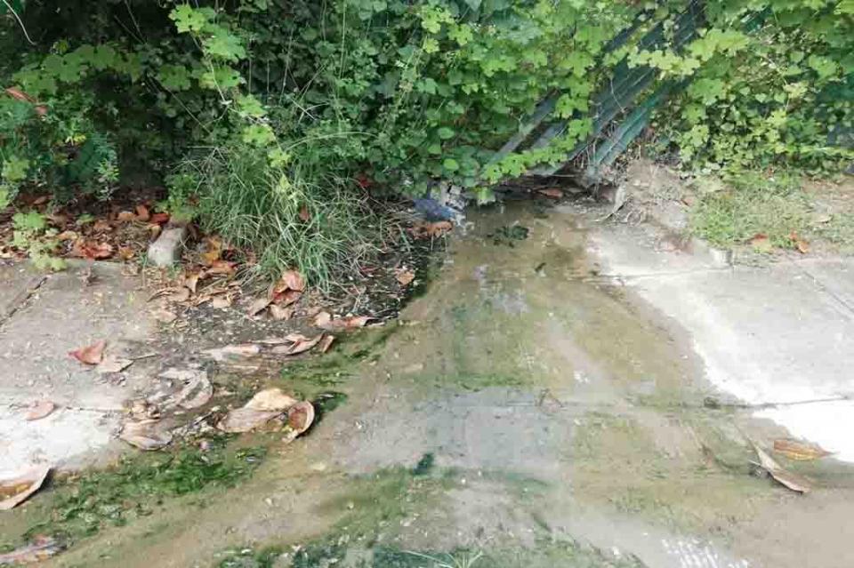 FF Valle Marlyn se inunda en aguas negras
