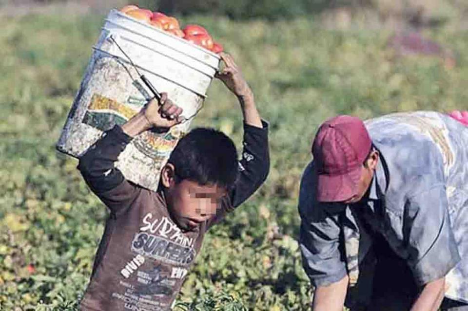 Sin título-1 Reconocen incremento de explotación infantil