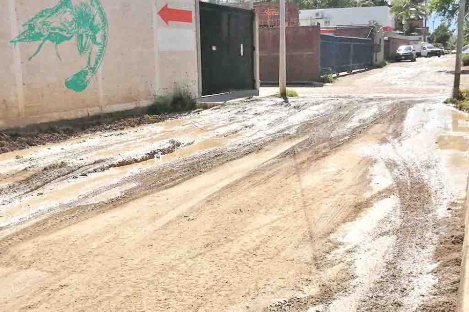 Está destruída la calle Rosa en la colonia Villa las Flores Está destruída la calle Rosa en la colonia Villa las Flores