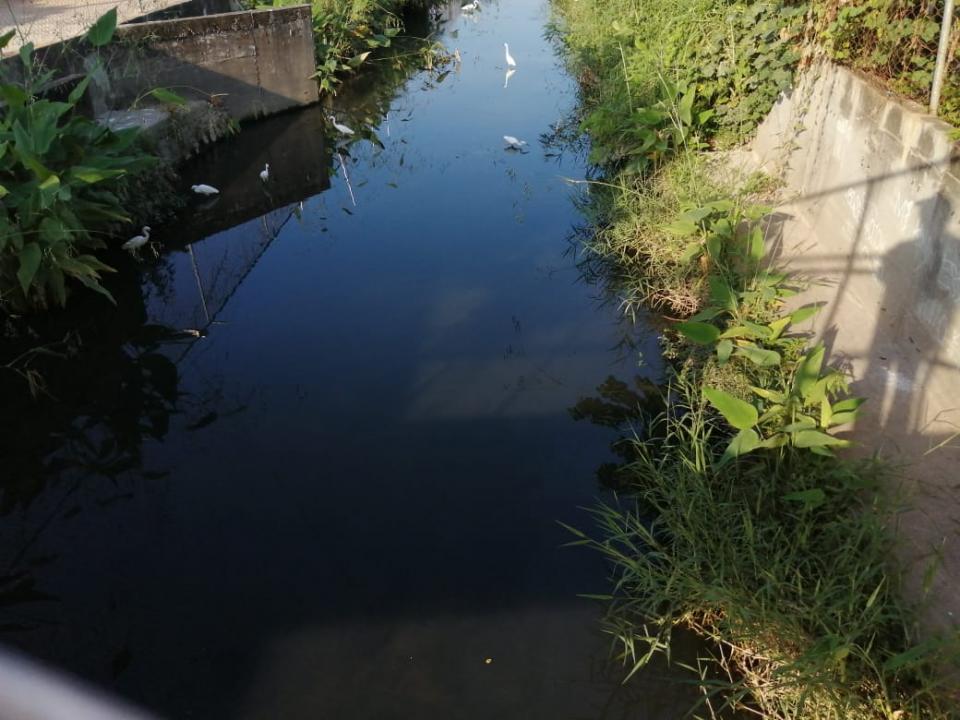 aguacontaminada Continúa contaminación en el arroyo de La Virgen