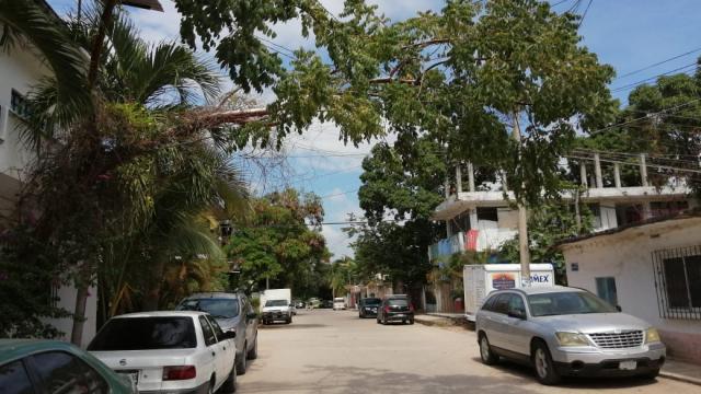 rama arbol calle españa Por riesgo de caída vecinos de El Mangal piden se poda de rama árbol