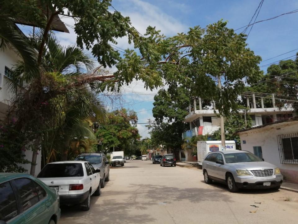 rama arbol calle españa Por riesgo de caída vecinos de El Mangal piden se poda de rama árbol