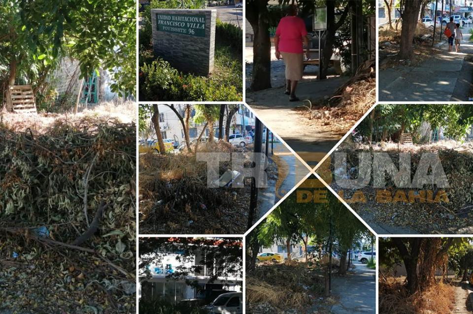 FovissteBasurero Terreno baldío en Francisco Villa es usado de basurero