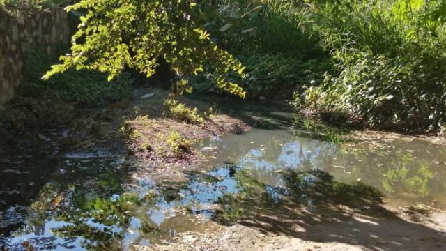 New Project - 2019-11-22T102307.622 Reportan contaminación de aguas negras en arroyo pluvial del fraccionamiento Banus