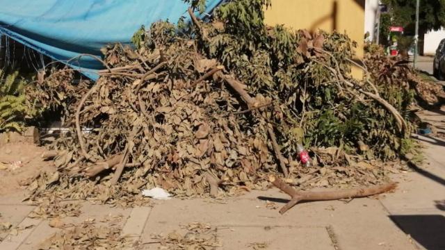 Vecinos de colonia Verde Vallarta se sienten abandonados y reclaman presencia de servicios públicos municipales Vecinos de colonia Verde Vallarta se sienten abandonados y reclaman presencia de servicios públicos municipales