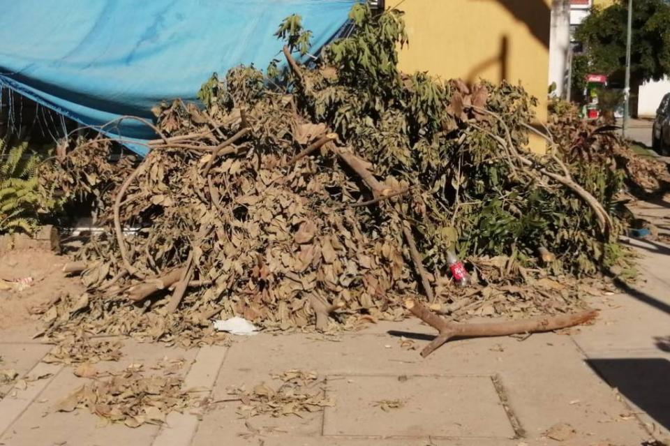 Vecinos de colonia Verde Vallarta se sienten abandonados y reclaman presencia de servicios públicos municipales Vecinos de colonia Verde Vallarta se sienten abandonados y reclaman presencia de servicios públicos municipales