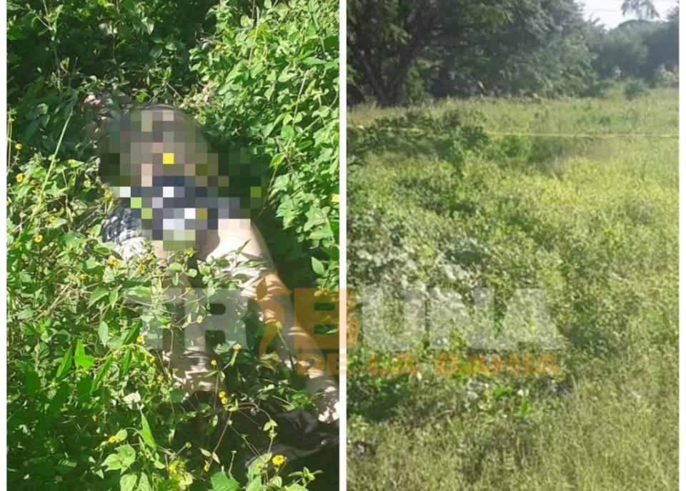 Localizan hombre si vida en terreno baldío en Bucerías Localizan hombre si vida en terreno baldío en Bucerías
