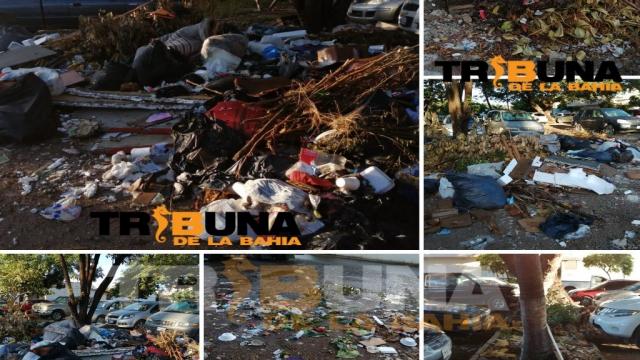 basural Andador de basura en Infonavit, vecinos no respetan horarios de recolección