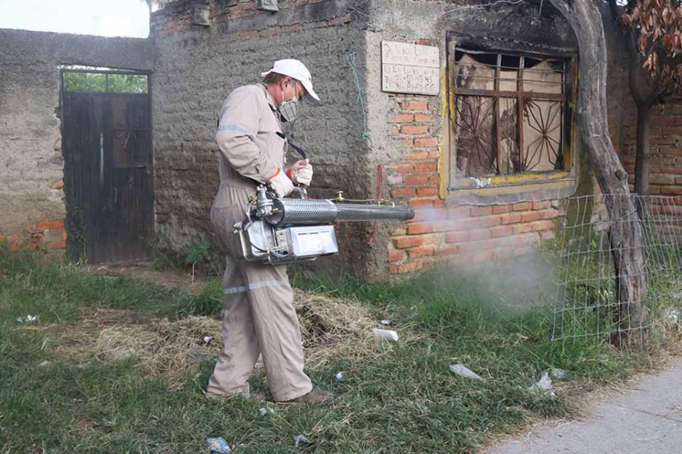 Supera dengue 11 mil casos en Jalisco Supera dengue 11 mil casos en Jalisco