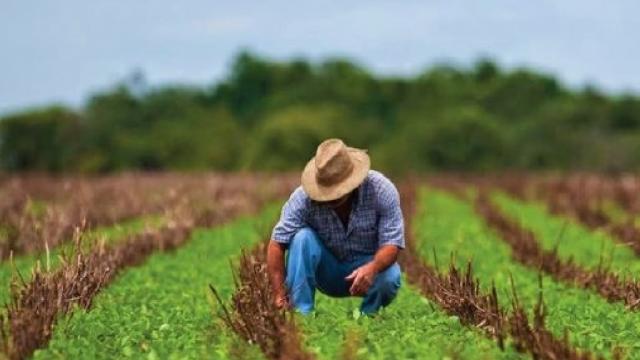 AgriculturaCambioClimatico Impulsan agricultura sustentable con MasAgro