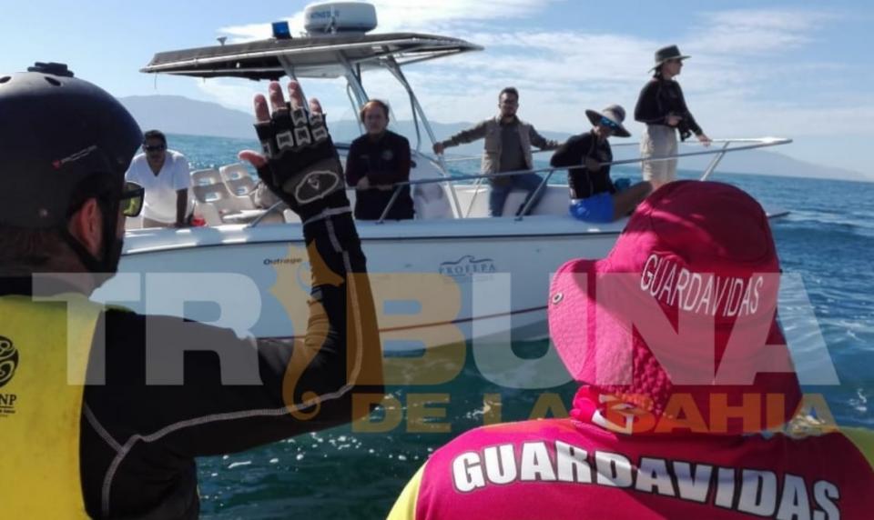 Liberanballena Liberan ballena de chinchorro en desembocadura del río Ameca