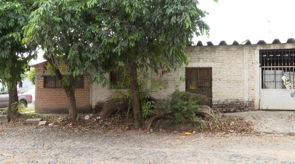 PODA 1 Vecinos piden recoger poda