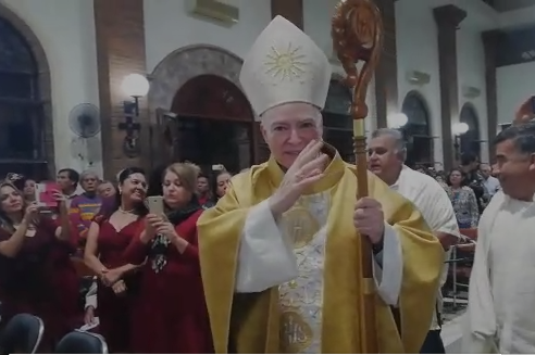 un cardenal en vallarta Un Cardenal en Vallarta