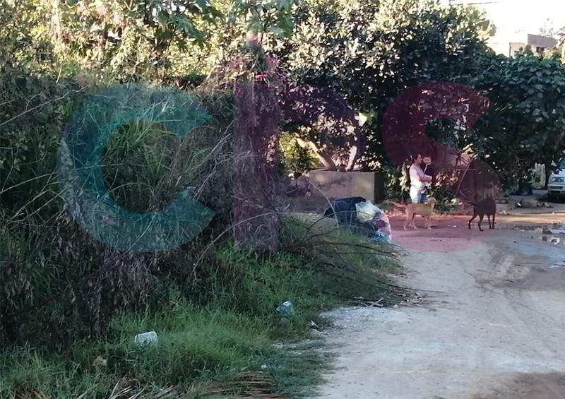 2 Solicitan apoyo de autoridades para el saneamiento de áreas verdes