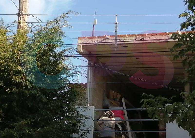 crecimiento descontrolado arboles Infonavit Denuncian crecimiento descontrolado de los árboles