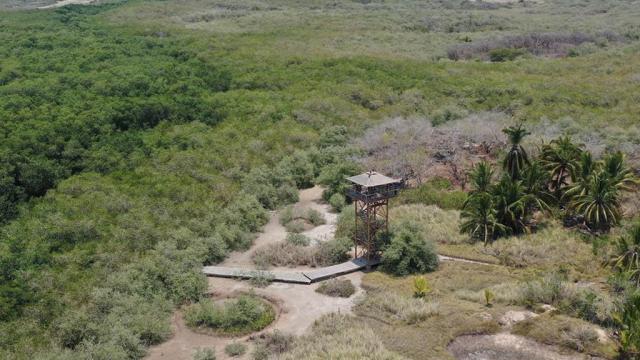 esteroelSalado Se realizará encuesta final para definir proyecto en estero "El Salado"