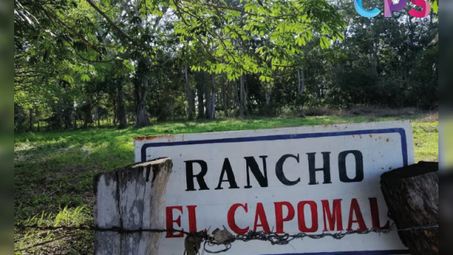 capomal san juan abajo El Capomal, paradisíaco bosque cercano a Vallarta que buscan preservar