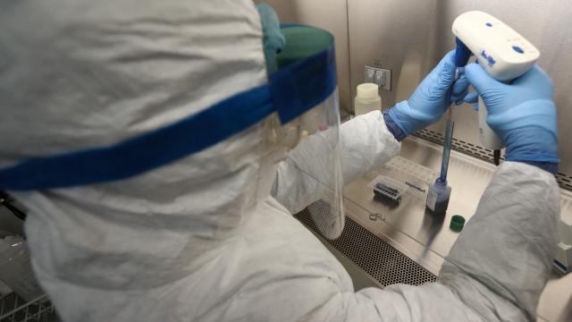 tratamiento con células madre ofrece esperanzas a los diabéticos Laboratorio