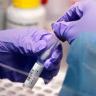 Dona Alemania pruebas PCR para Covid-19 a Méxic Pruebas PCR