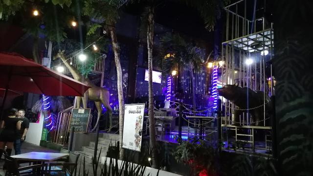 A pegarle al vidrio: ¡hoy abren los bares en Vallarta Antros Vallarta