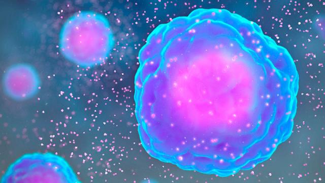 Citoquinas que causan covid pueden impedir la inmunidad duradera Covid-19 virus