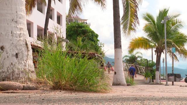 Noticias de Denuncia Ciudadana - Tribuna de la Bahía