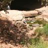 Limpieza canales Bahía de Banderas ya inició la limpieza de canales y drenes