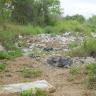 Ambientalistas limpian el lado abandonado del Estero Ambientalistas limpian el lado abandonado del Estero